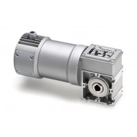 意大利minimotor_BCE2000-24MP 225：1直流减速电机用于制药行业包装设备