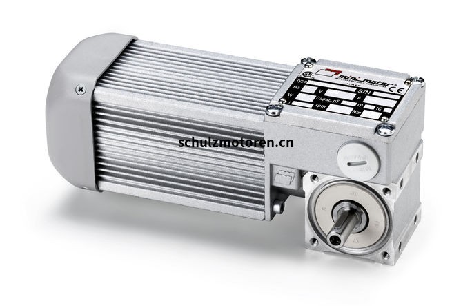 minimotor_BCE2000-24MP 125：1